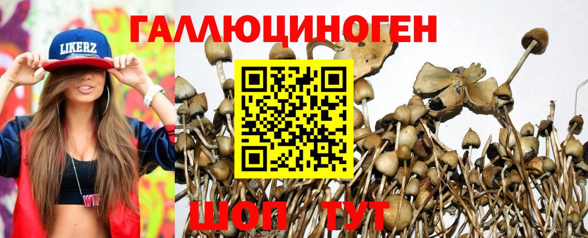 Галлюциногенные грибы Cubensis  Вход с VPN  сколько стоит  Тавда 